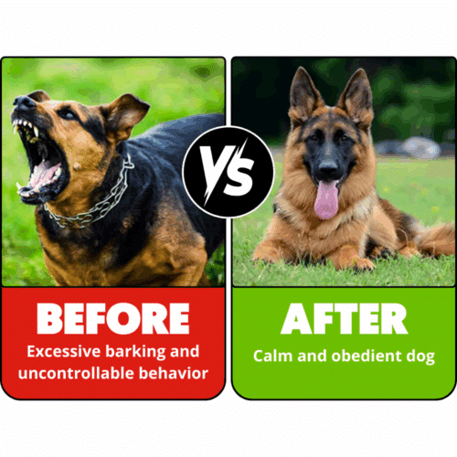 Barkguard Benefits